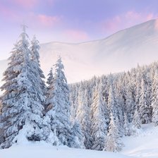 Схема вышивки «№1981899»