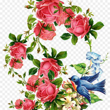 Схема вышивки «vtáčik,ruže»