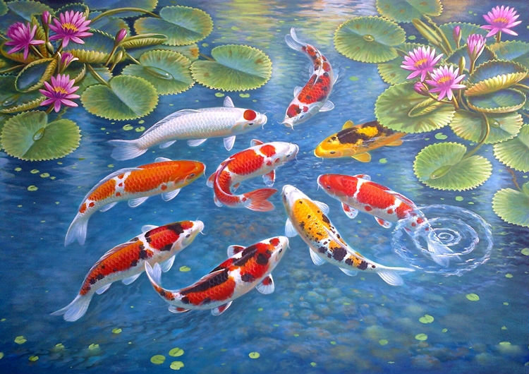 карпы кои - удача, карпы, лотос, вода - оригинал