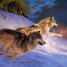 Схема вышивки «Волки»