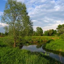 Схема вышивки «№1982541»