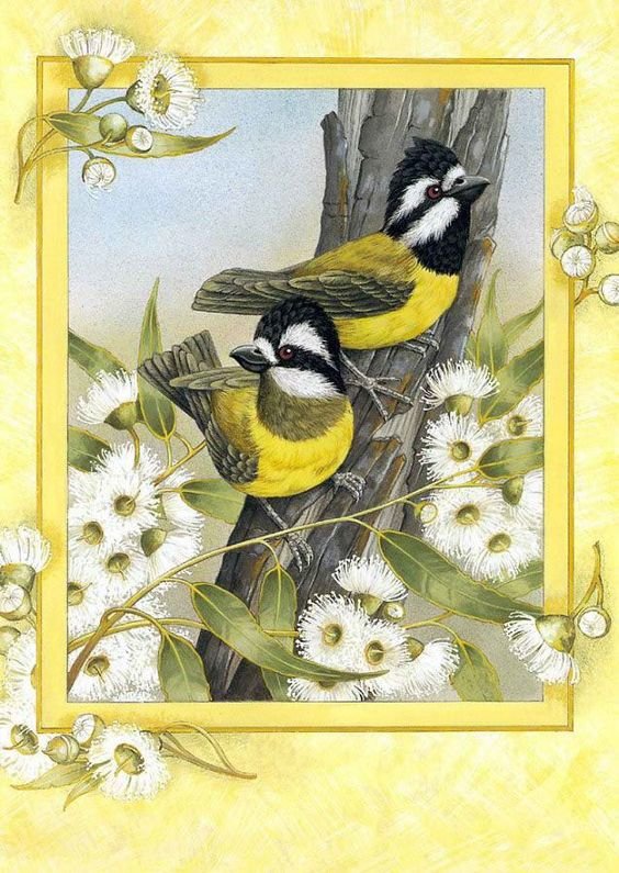 Сорокопут - птицы, сорокопут, фауна - оригинал