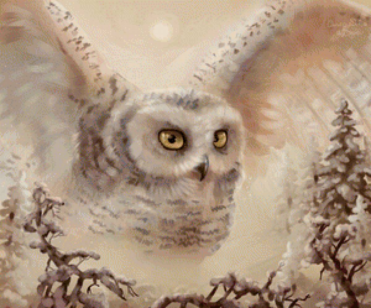 сова 1 - предпросмотр