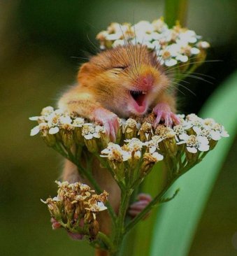 №1983013 - оригинал