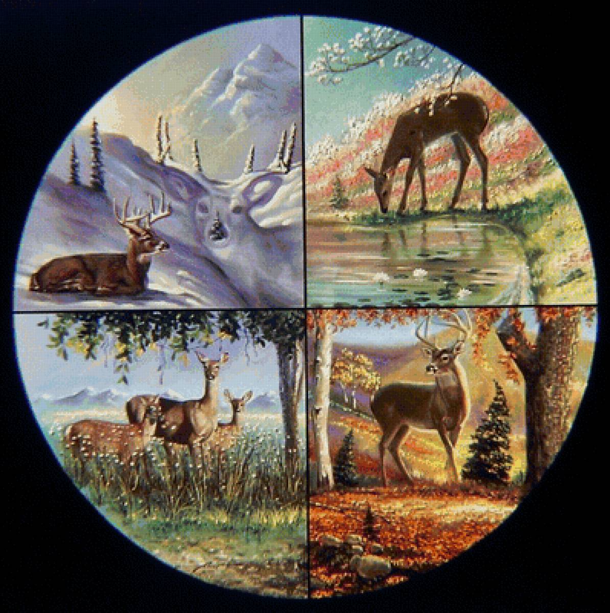 №1983089 - предпросмотр