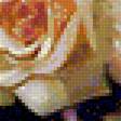Предпросмотр схемы вышивки «Bouquet of Roses.» (№1983108)