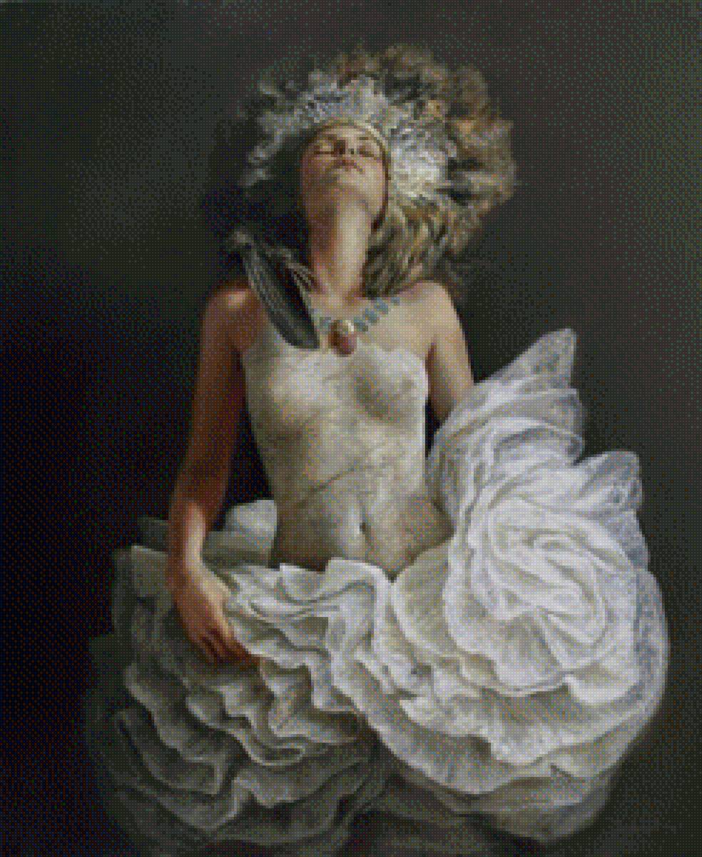 Рикардо Фернандес Ортега - девушка в пачке - предпросмотр