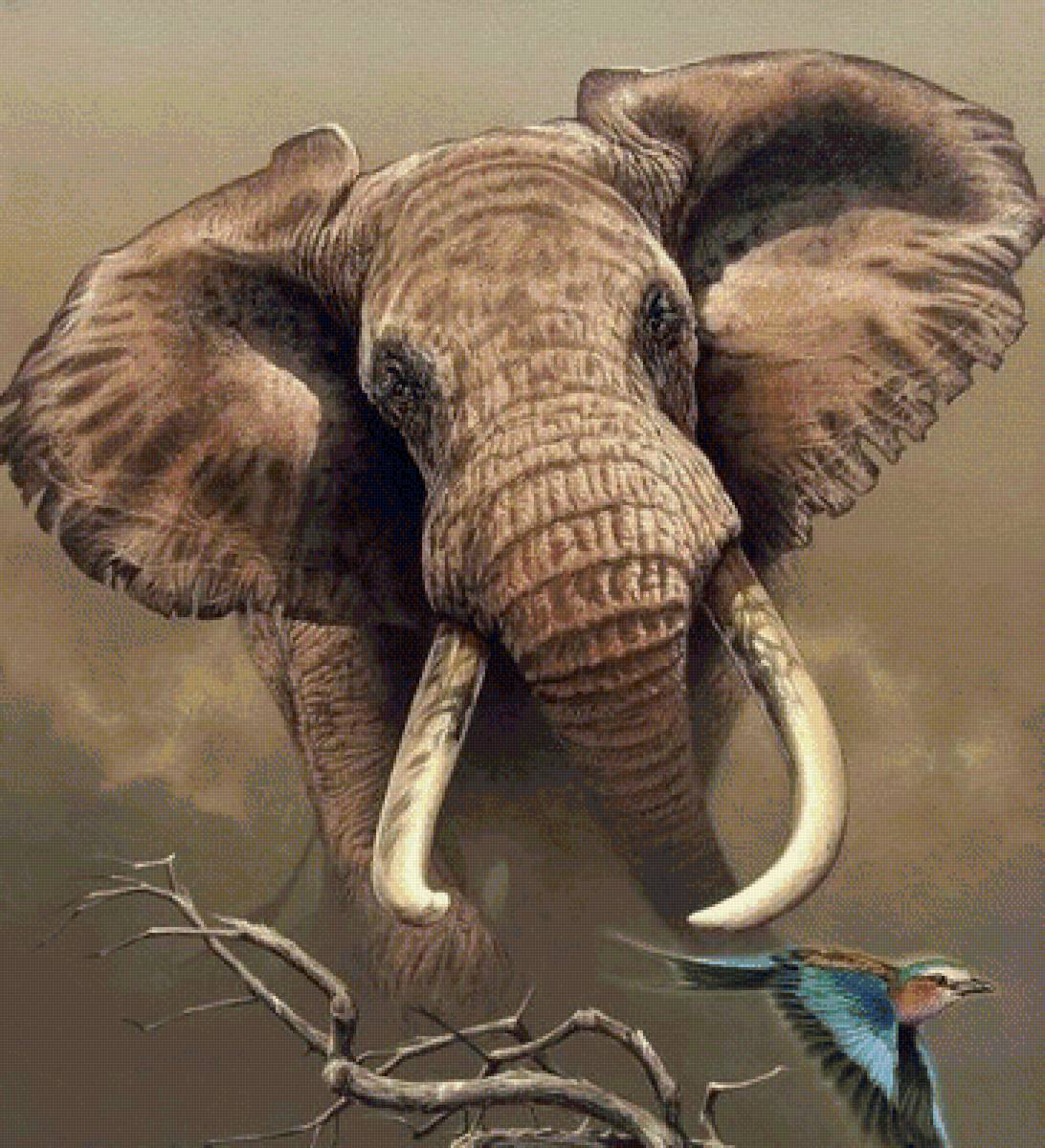 дикие - предпросмотр