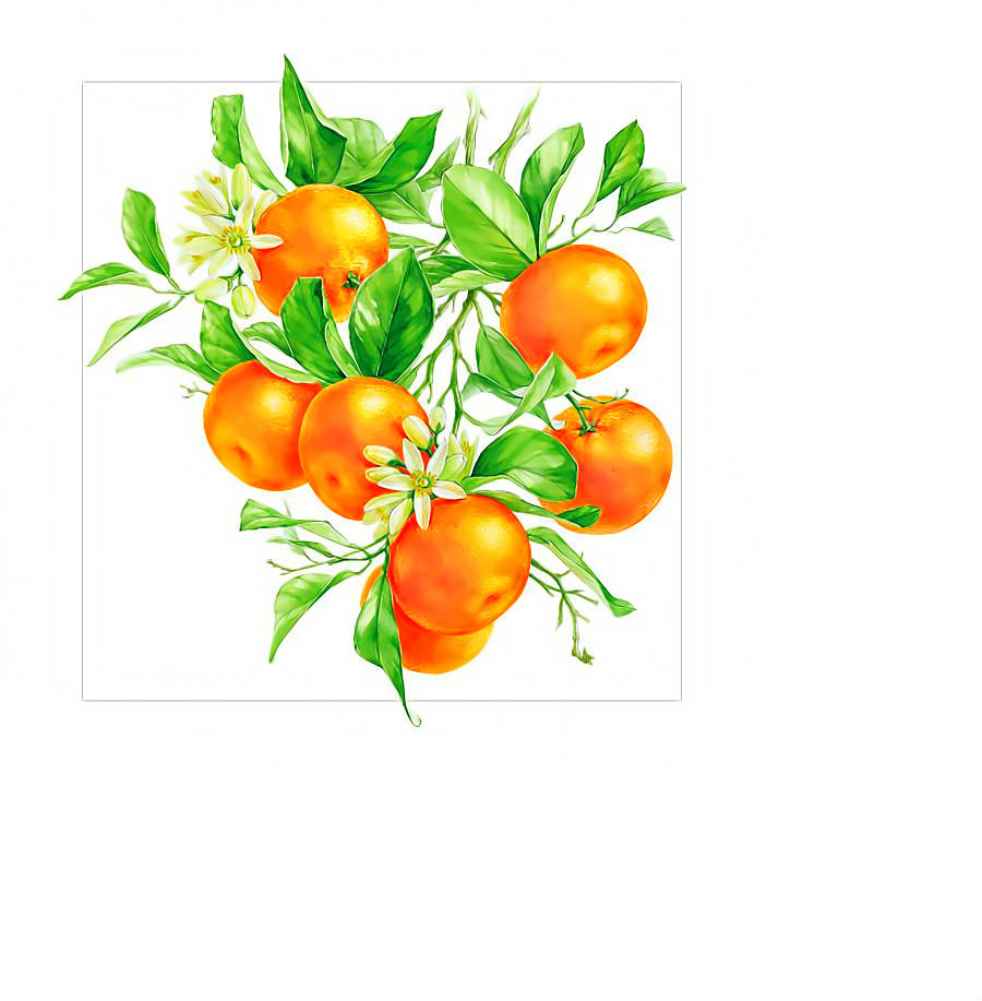 Мандарины. - фрукты, мандарины - оригинал