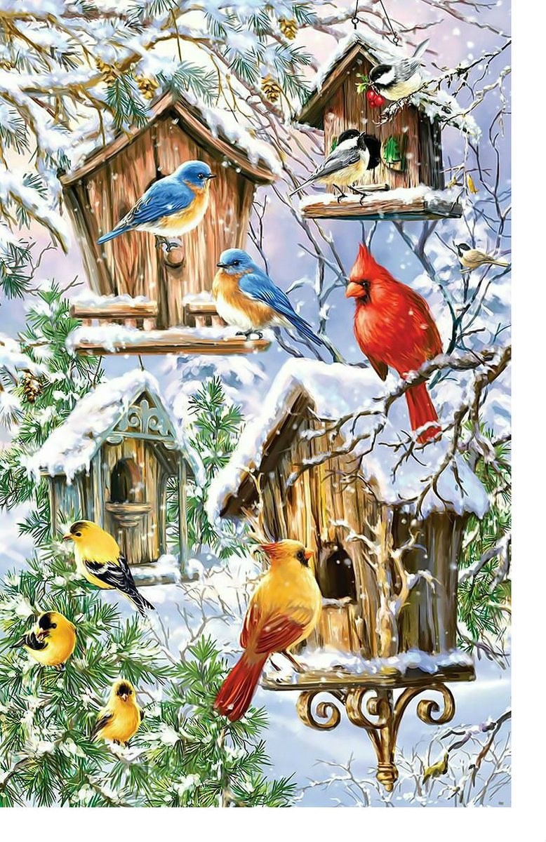Птицы. - кормушки, снег, зима, птицы - оригинал