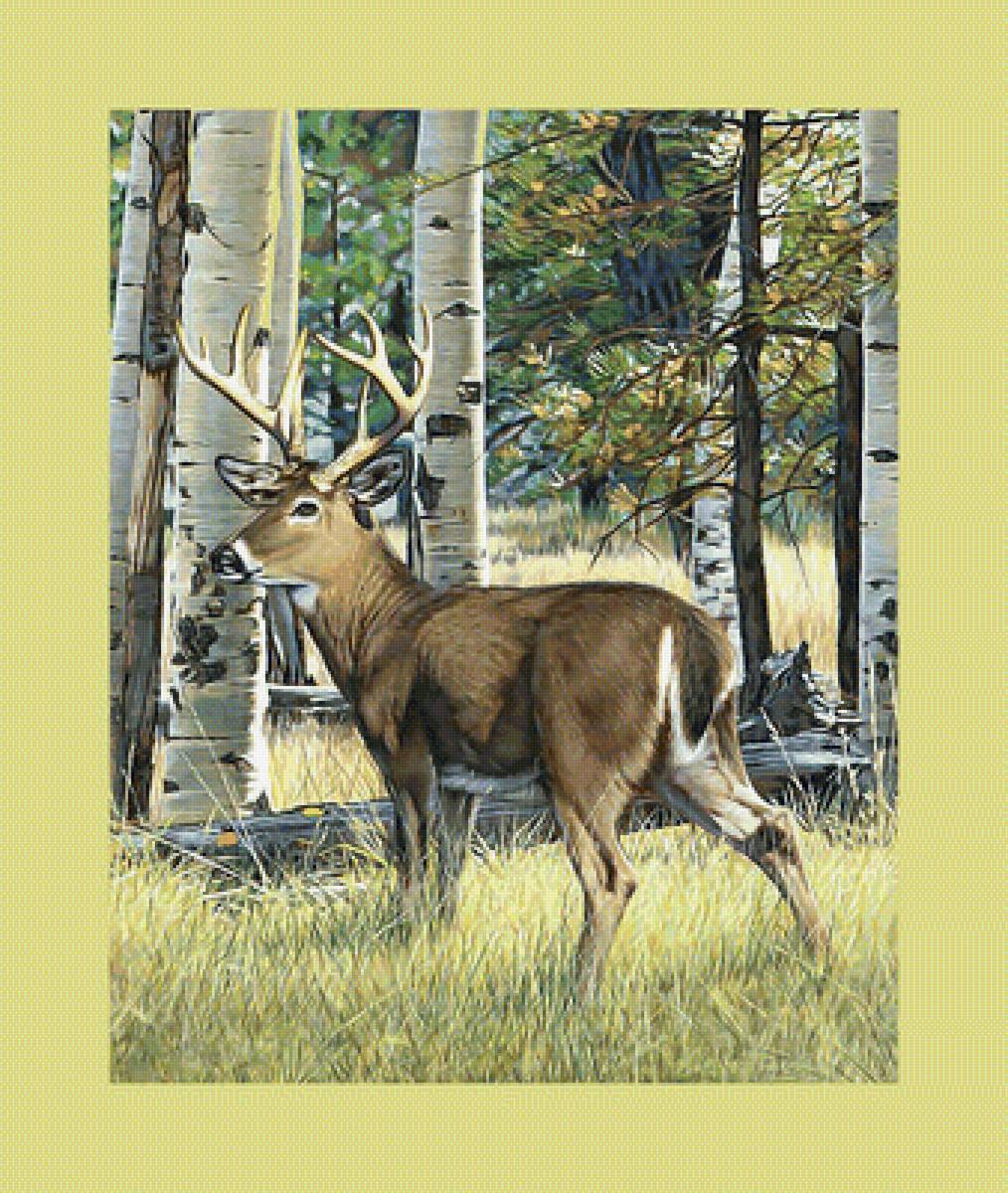 Олень в берёзовой роще. - березы, олень, пейзаж, природа - предпросмотр