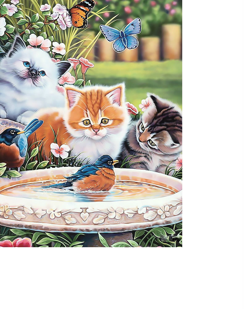 Котята и птички. - котята, цветы, птицы, лето, бабочки - оригинал