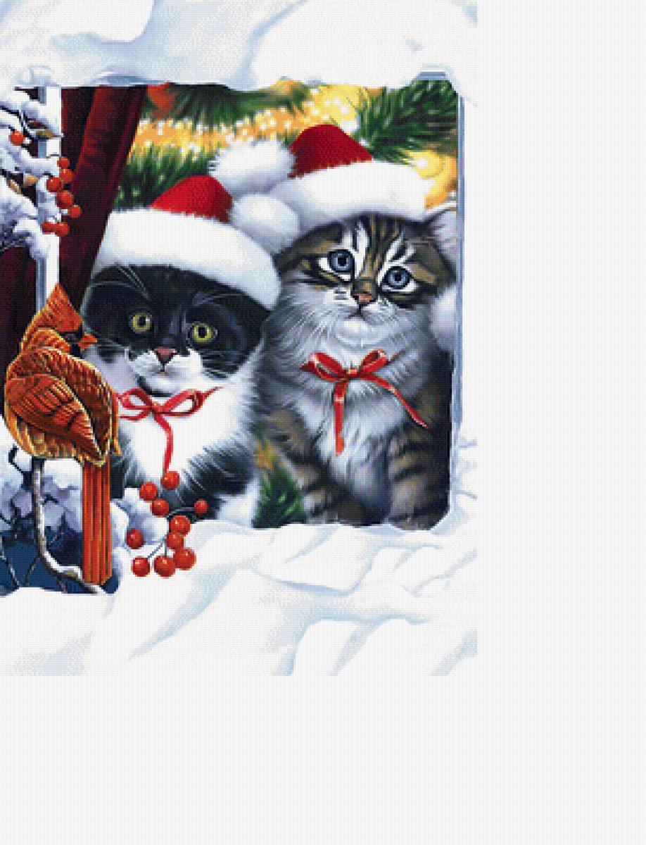 Котята и клёст. - котята, птичка, снег, зима - предпросмотр