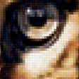 Предпросмотр схемы вышивки «Кошки» (№1984111)