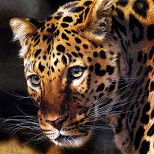 Схема вышивки «Кошки»