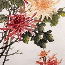 хризантемы