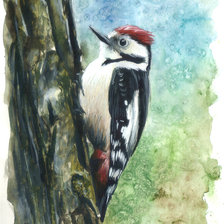 Схема вышивки «№1984305»