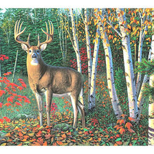 Оригинал схемы вышивки «Олень в осеннем лесу.» (№1984363)
