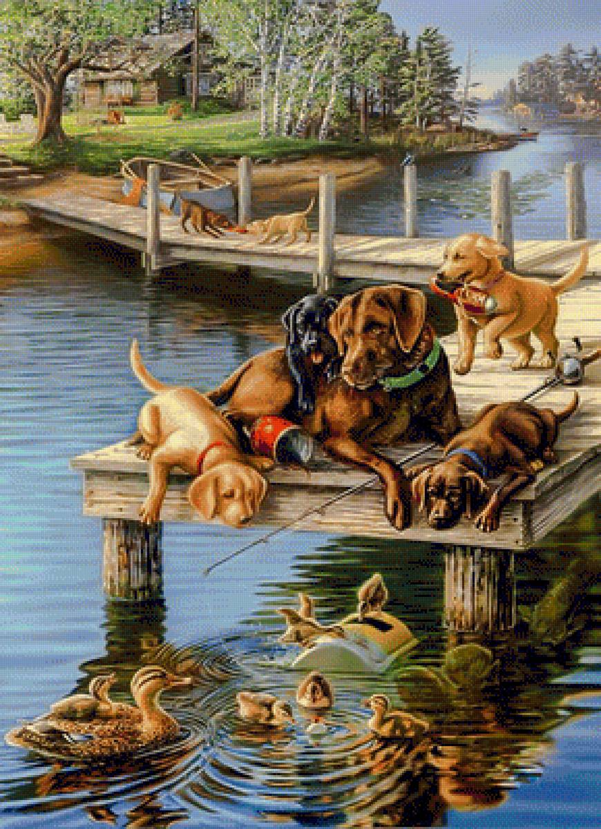 Friends of Ducks. - james meger.scenarys.animals. - предпросмотр