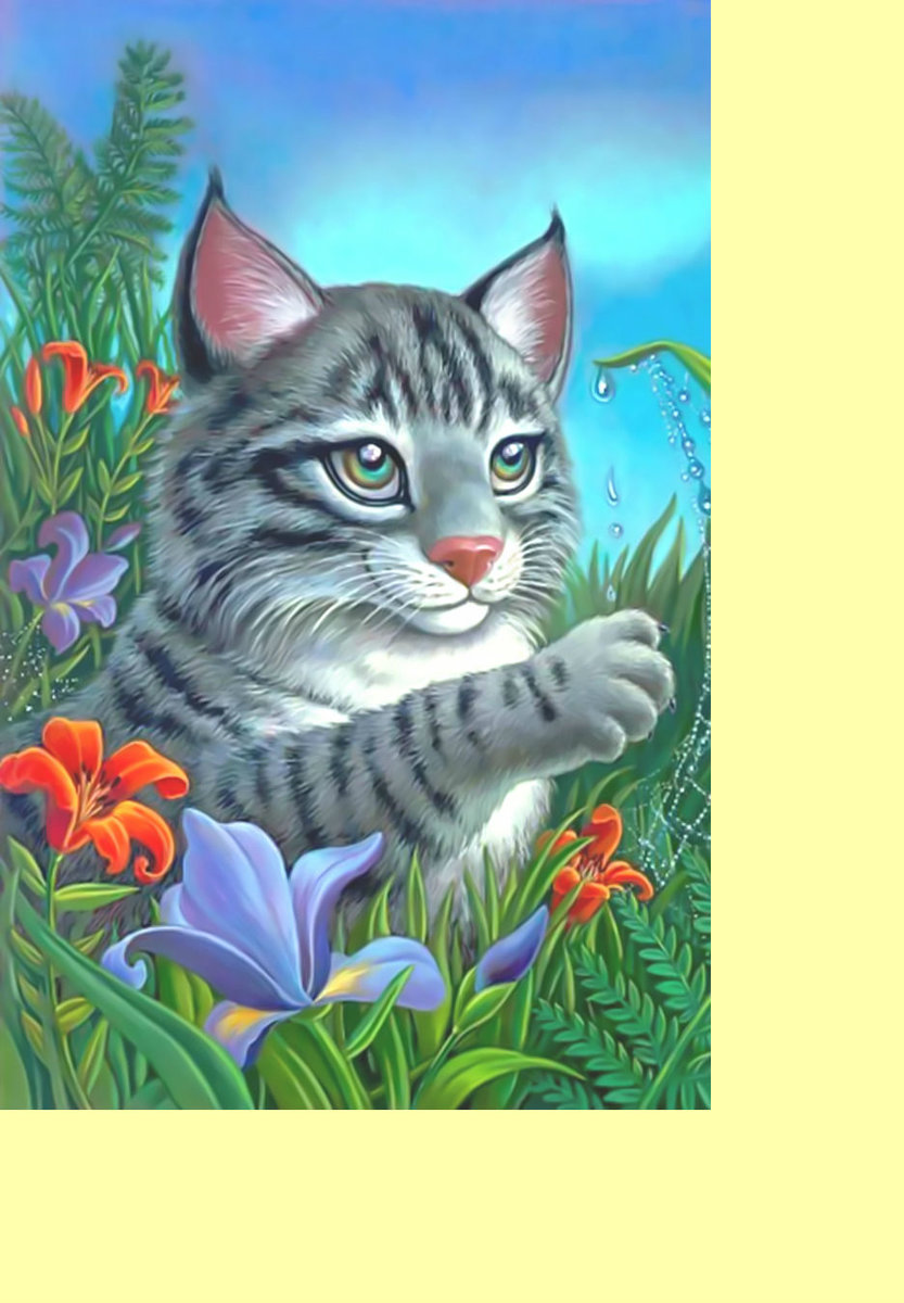 Котик. - цветы, детская, роса, котенок - оригинал
