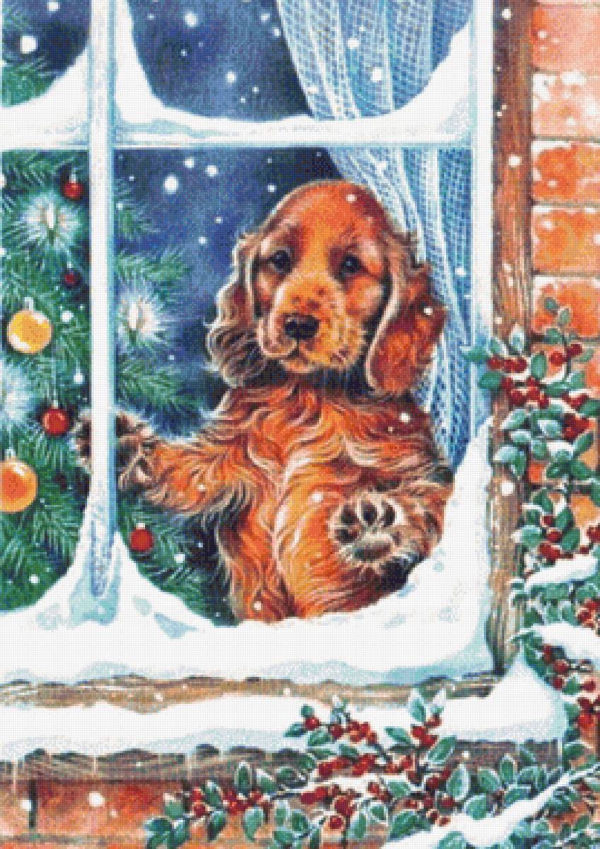 За окном - зима, собака - предпросмотр