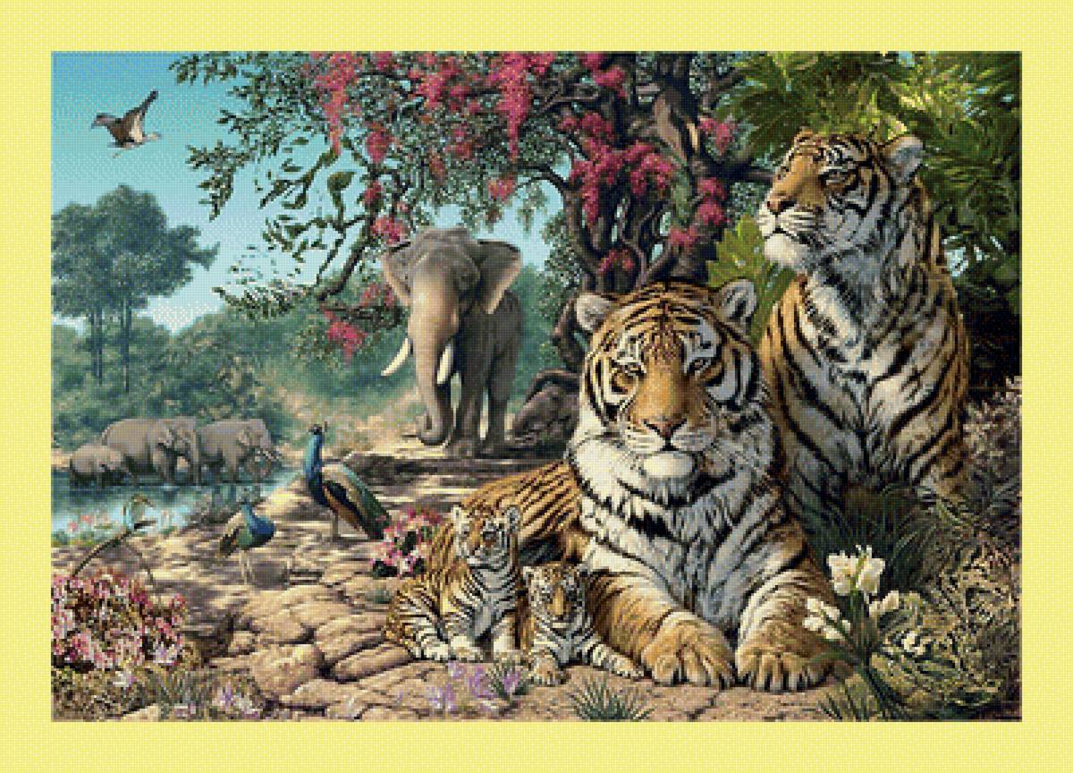 Тигры. - слоны, пейзаж, тигры, животные - предпросмотр