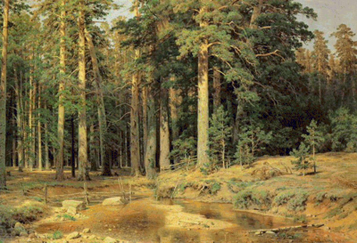 №1985137 - природа, сосновый бор, опушка леса - предпросмотр