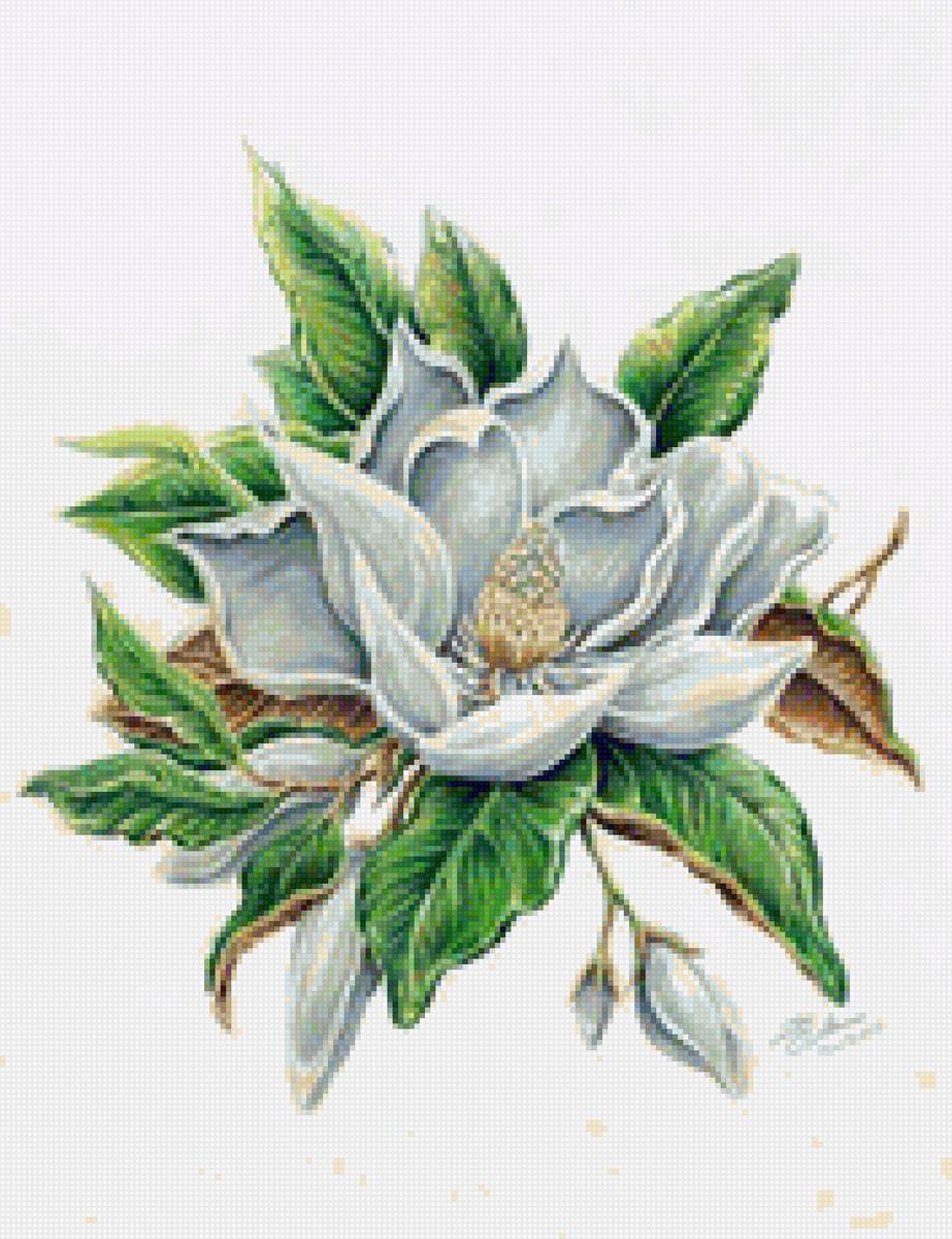 цветы - цветы - предпросмотр