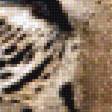 Предпросмотр схемы вышивки «Малыш леопарда» (№1985551)