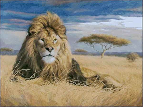 King of the Pride. - scenarys.animals. - оригинал