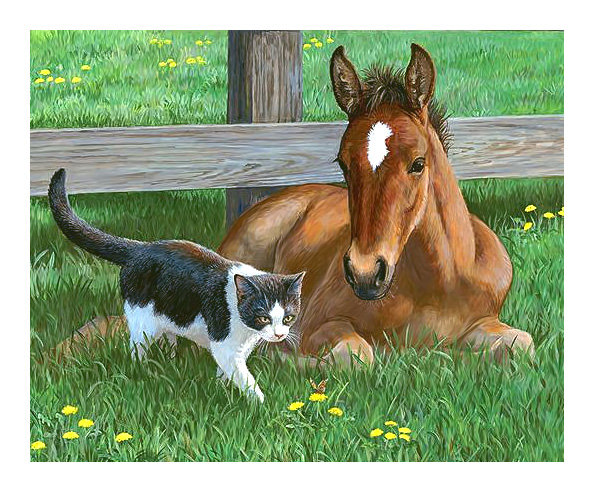 Серия "Кони" - жеребенок, кот, животные - оригинал