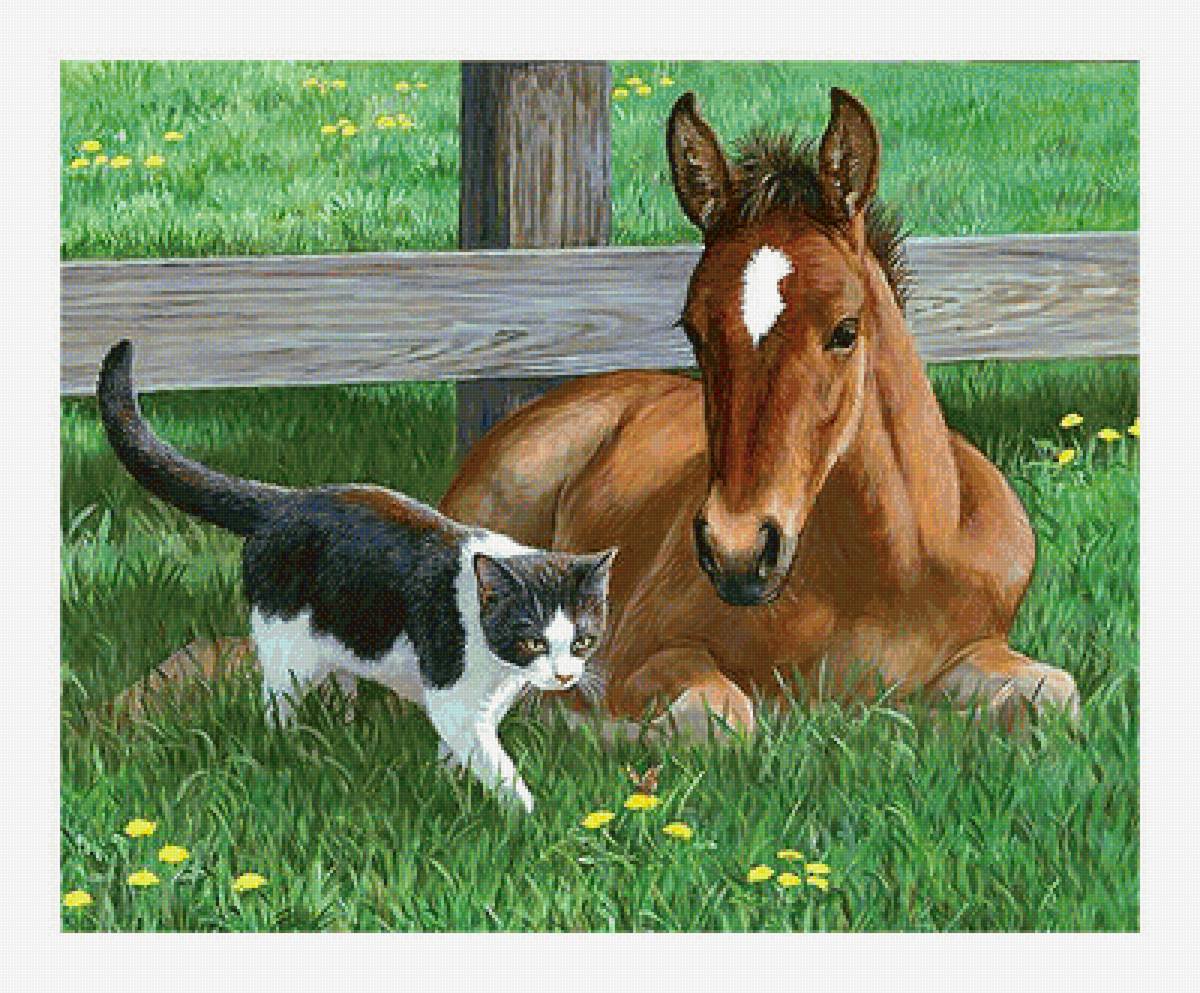 Серия "Кони" - кот, жеребенок, животные - предпросмотр