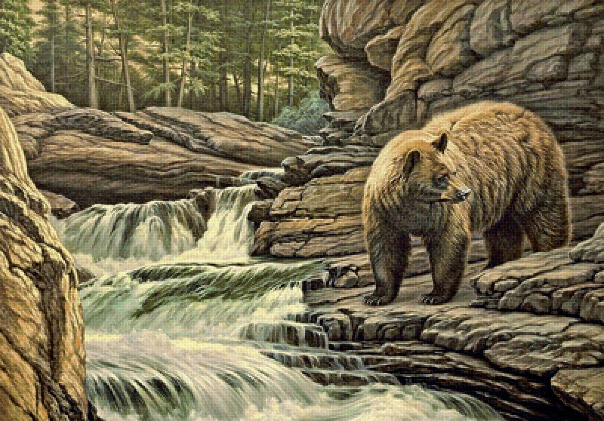 медведь - река, лес, скала, медведь, животные - предпросмотр