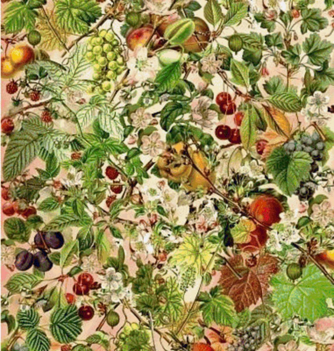 фруктовый сад - красивые картинки - предпросмотр