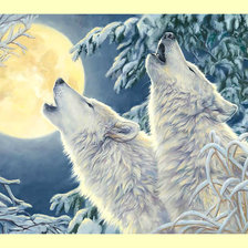 Оригинал схемы вышивки «Белые волки. Пара.» (№1986083)
