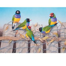 Схема вышивки «птицы»