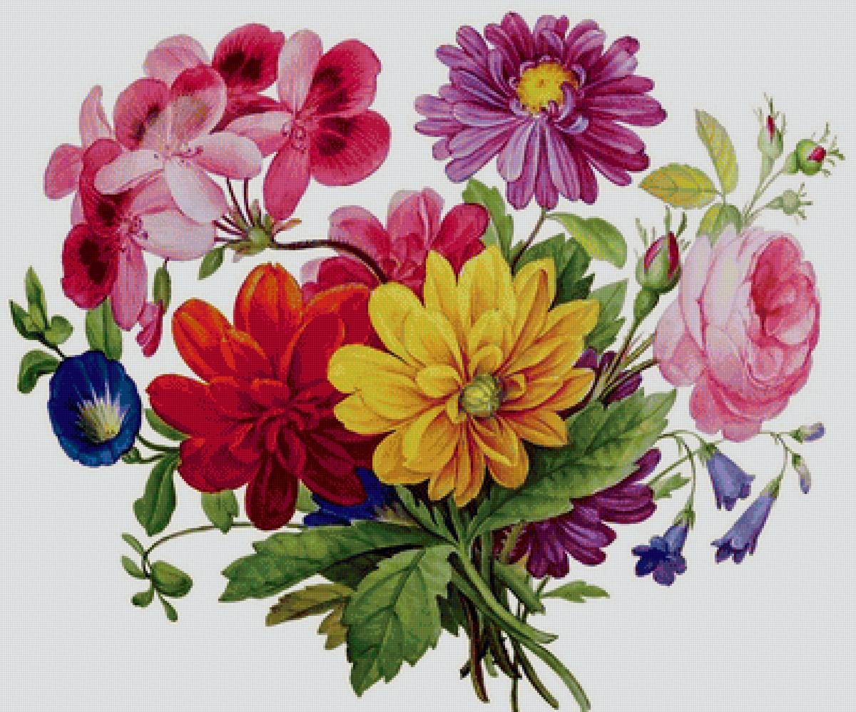 kytica - предпросмотр