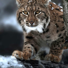 Схема вышивки «№1986414»