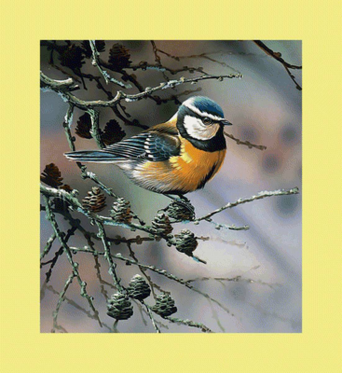 Синичка. - шишки, синица, ветка, птицы - предпросмотр