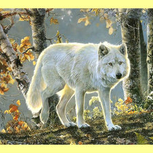 Белый волк в осеннем лесу.