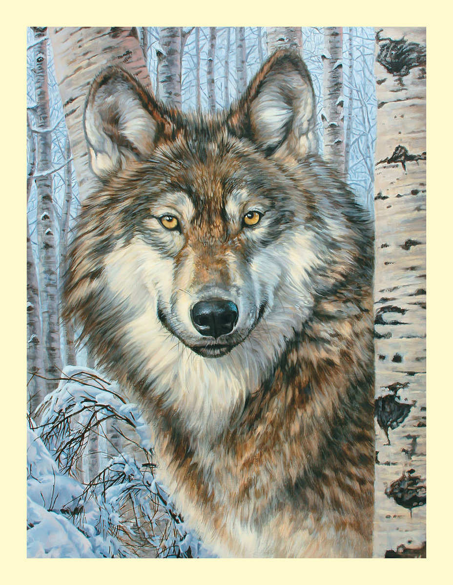 Волки в зимнем лесу. - березы, снег, волк, животные, живопись, лес, хищник, зима - оригинал