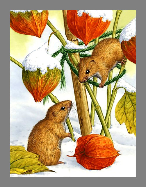 Серия "Грызуны" - мышки, грызуны, животные - оригинал