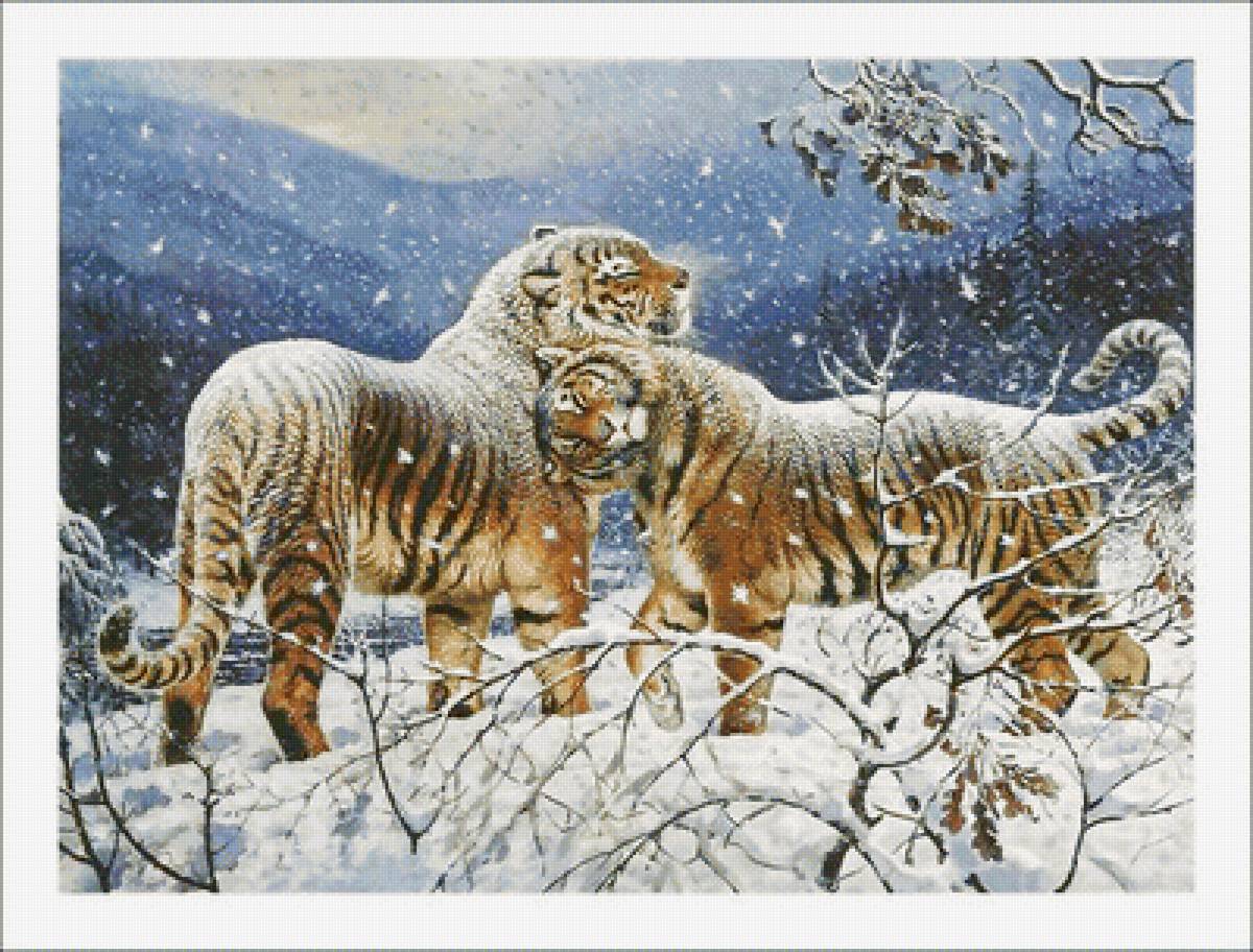 №1986866 - тигр, хищники, животные, тигры - предпросмотр