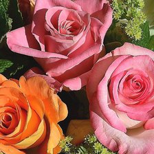 Схема вышивки «Розы»