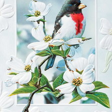 Схема вышивки «птичка»