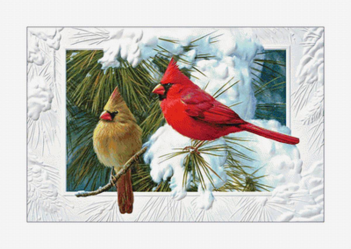 Птички. - ель, зима, снег, птицы, ветки - предпросмотр