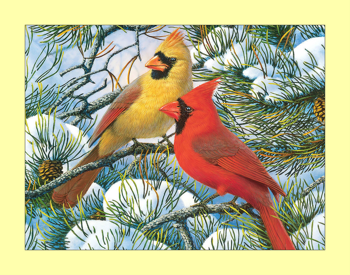 Красный кардинал. - снег, зима, живопись, птицы, ветки - оригинал