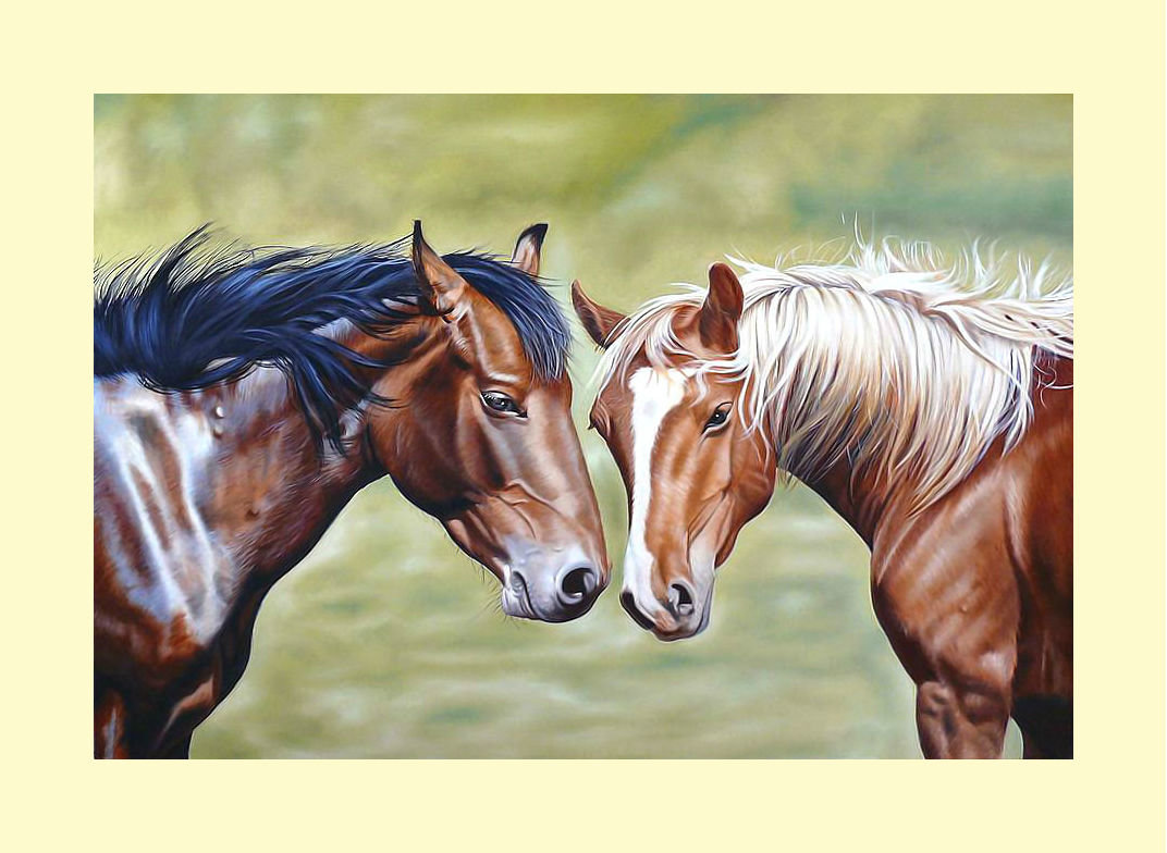 Лошади. - кони, животные, лошади - оригинал