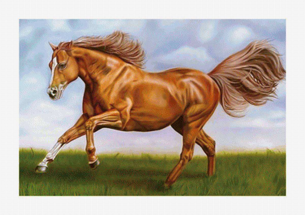 Быстрее ветра. - животные, лошадь, конь - предпросмотр