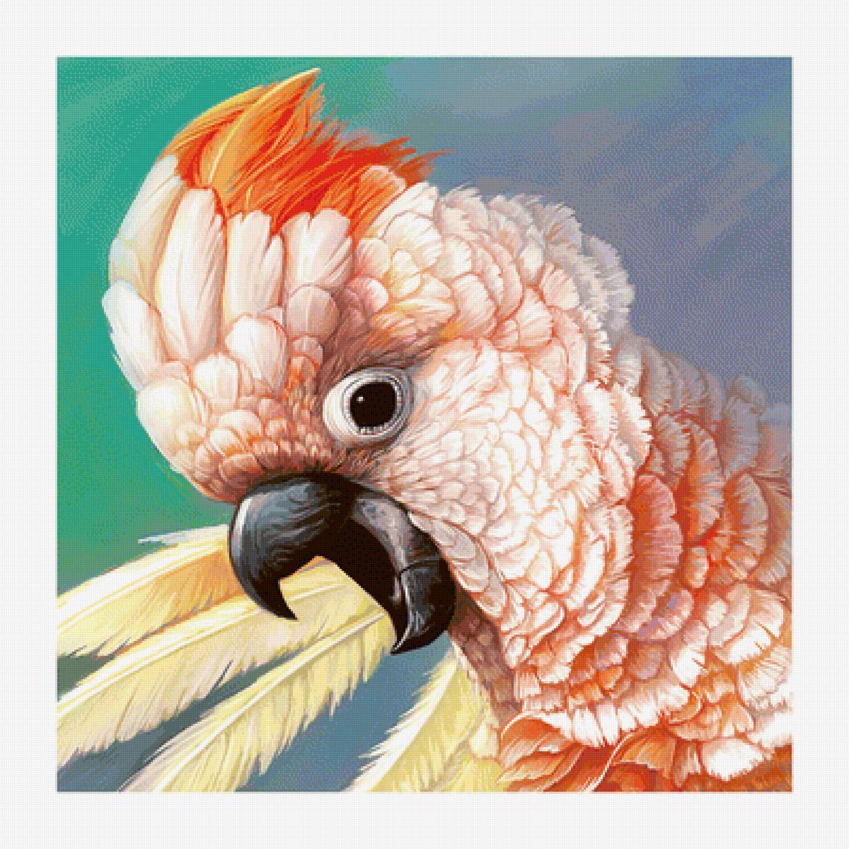 Серия "Птицы". Какаду - птицы, фауна, какаду, попугай - предпросмотр